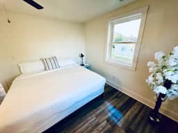 1BR King Near Swamp Rabbit Trail